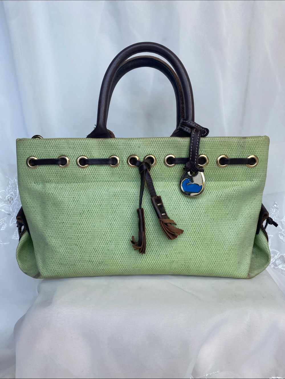 Dooney & Bourke Light Green Canvas Tote with Dark Brown Trim